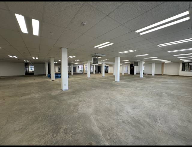 1,731M² OFFICE TO LET IN SANDTON CENTRAL